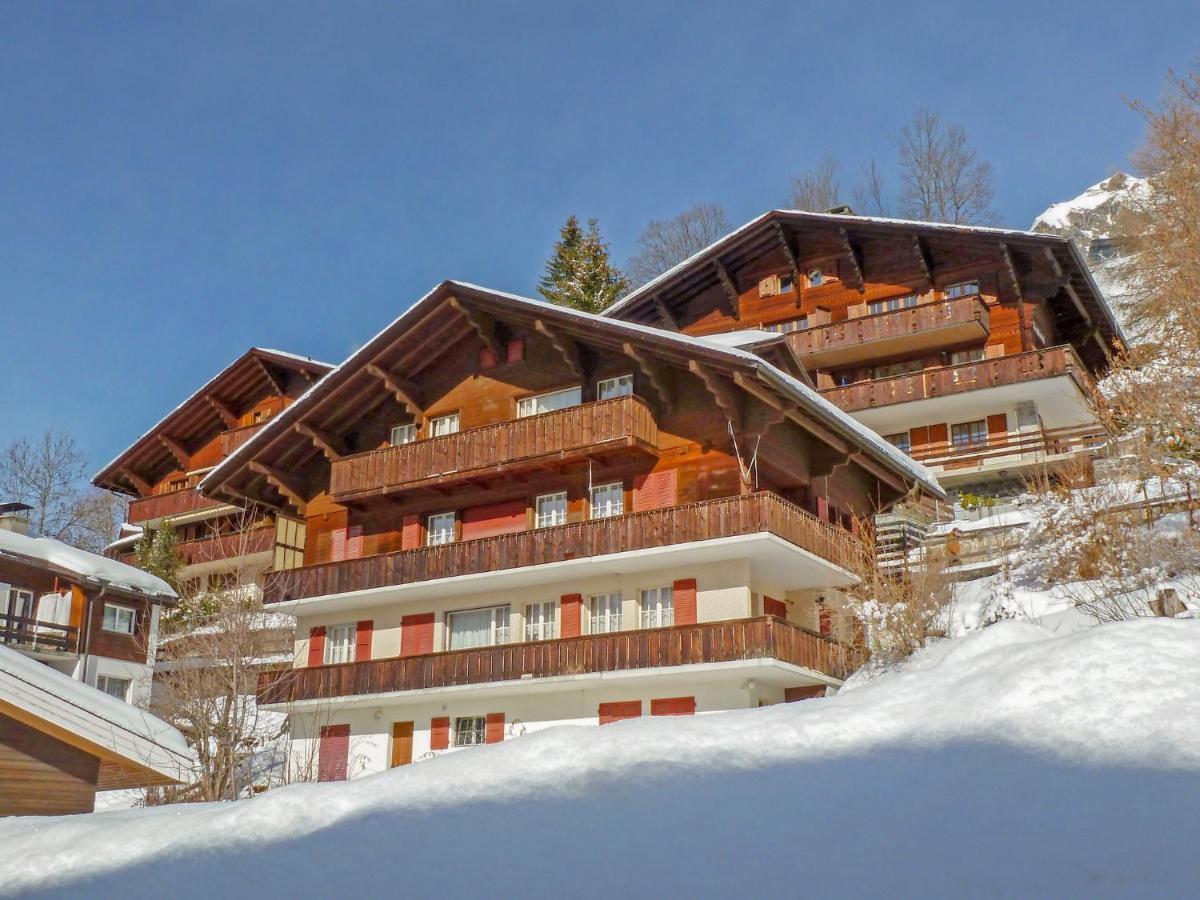 Apartment Plein Soleil By Interhome Wengen Kültér fotó