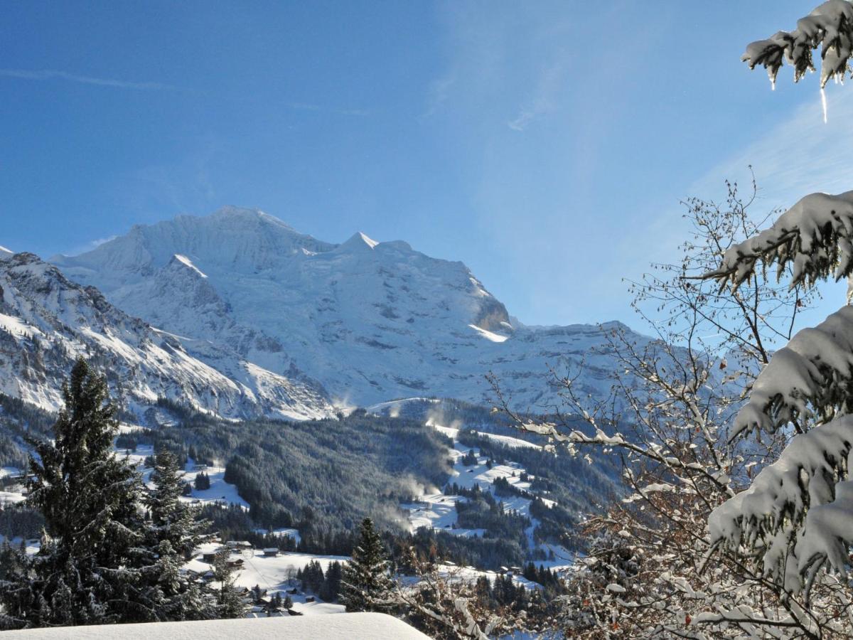 Apartment Plein Soleil By Interhome Wengen Kültér fotó